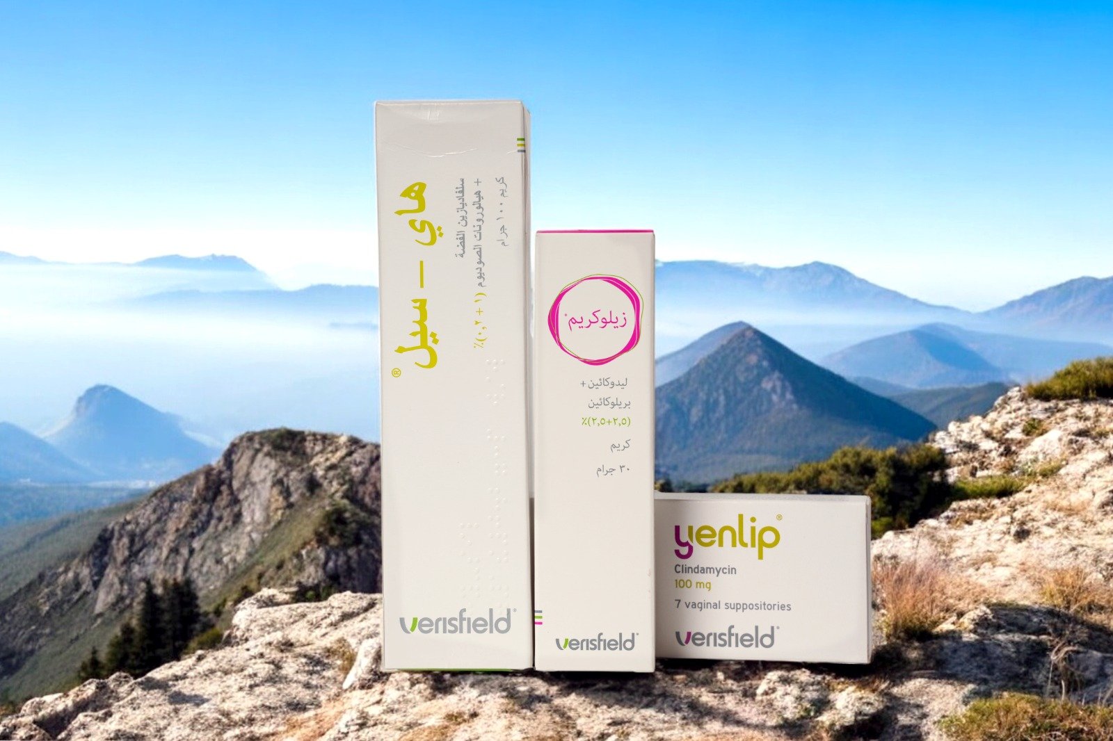 WhatsApp Image 2025-12-29 at 2.53.13 PM (16)