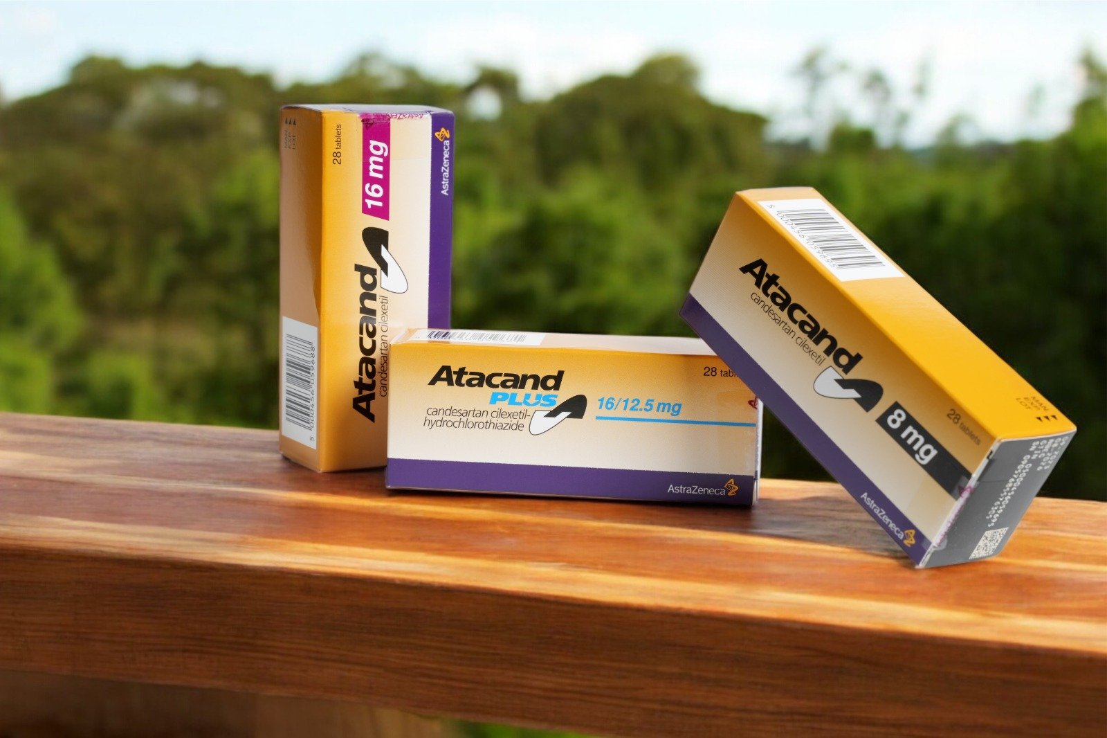 WhatsApp Image 2025-12-29 at 2.53.13 PM (2)