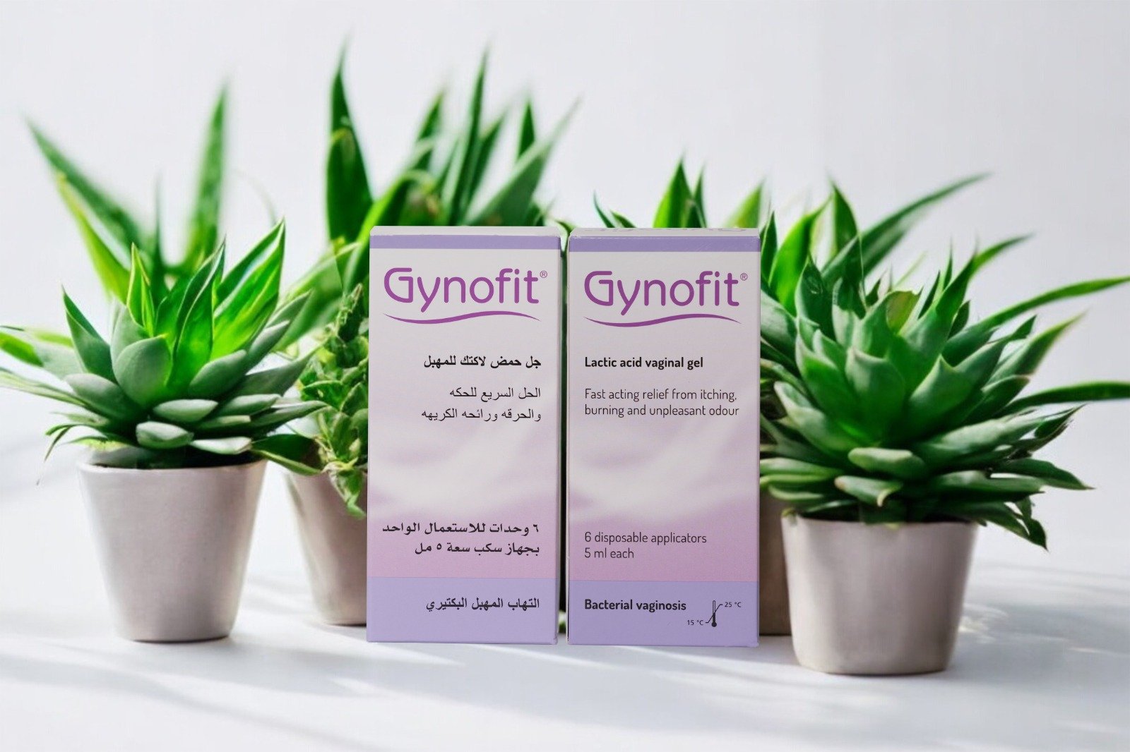 WhatsApp Image 2025-12-29 at 2.53.13 PM (20)